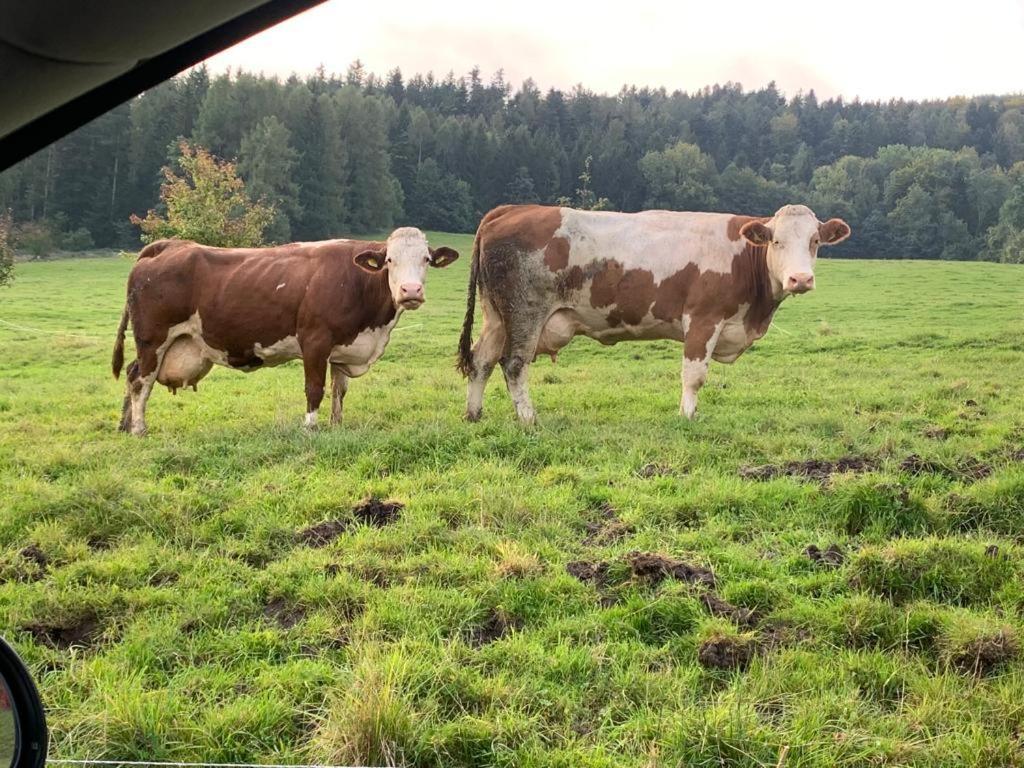 Ferienwohnung Waldkoehlerei Michelbach エクステリア 写真